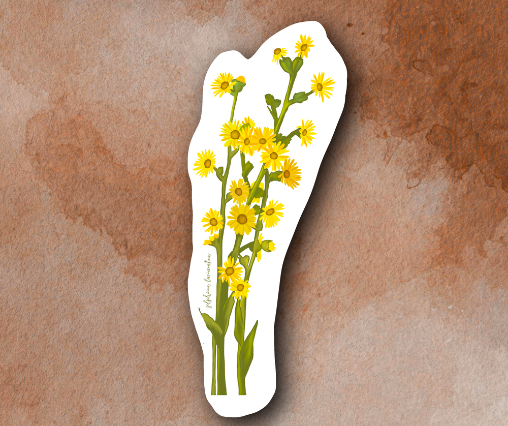 Compass Flower (silphium laciniatum) Plant Sticker