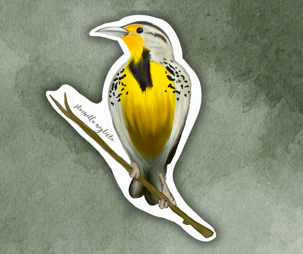 Meadowlark (sturnella magna) Bird Sticker